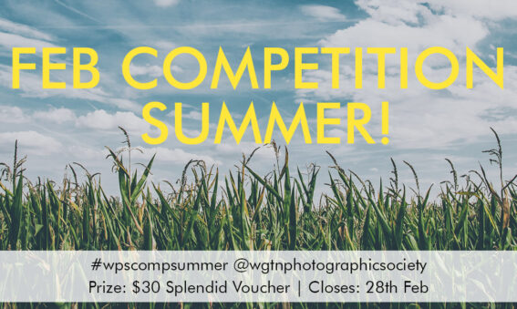 Summer Photography Competition