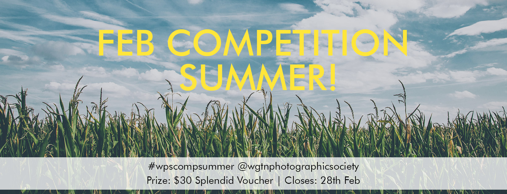 Summer Photography Competition